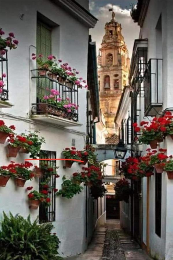Apartamento La Magdalena コルドバ エクステリア 写真
